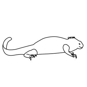 How To Draw A Marine Iguana - Step-By-Step Tutorial