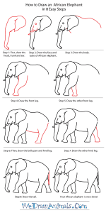 How to Draw an African Elephant