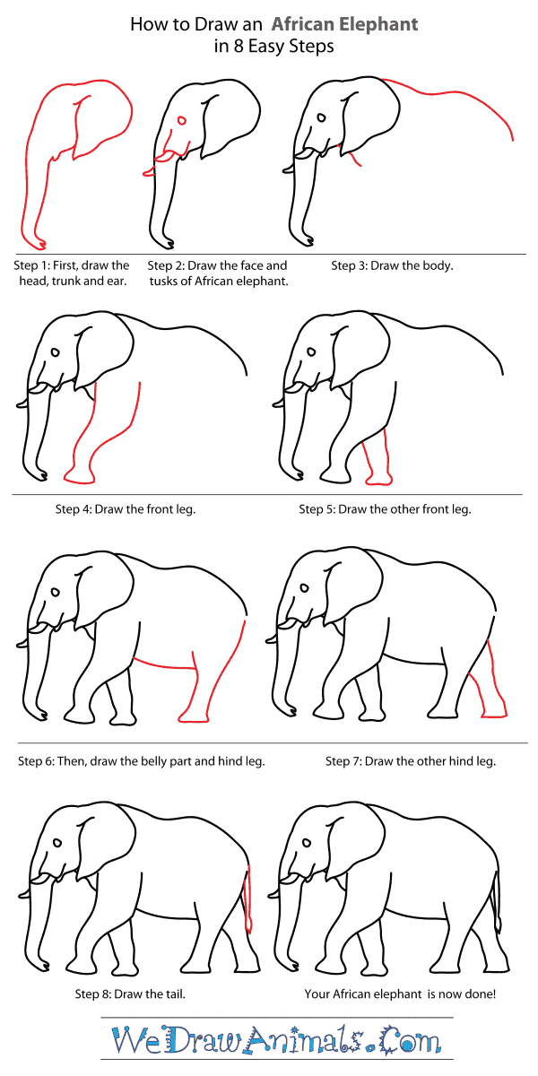 How To Draw An Elephant For Kids Step By Step