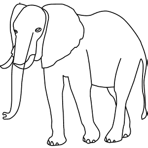 How To Draw an Asian Elephant - Step-By-Step Tutorial
