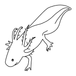 Axolotl Drawing Easy - Kawaii Axolotl Animals Poster Print | metal