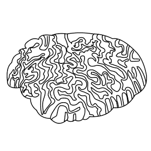 How To Draw a Brain Coral - Step-By-Step Tutorial