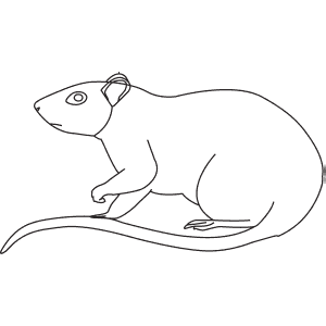 How To Draw a Brown Rat - Step-By-Step Tutorial