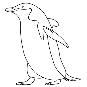 How To Draw a Chinstrap Penguin - Step-By-Step Tutorial