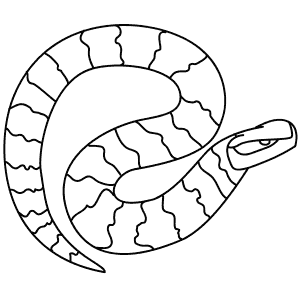 How To Draw a Cottonmouth - Step-By-Step Tutorial