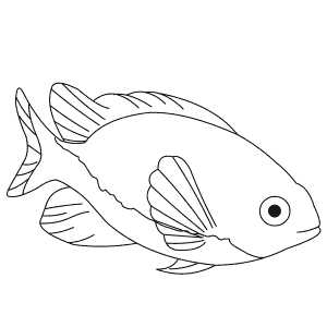 How To Draw a Damselfish - Step-By-Step Tutorial