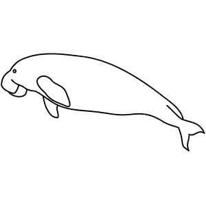 How To Draw a Dugong - Step-By-Step Tutorial