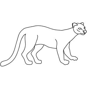How To Draw a Fossa - Step-By-Step Tutorial