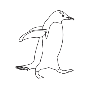 How To Draw a Gentoo Penguin - Step-By-Step Tutorial