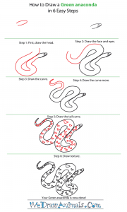how to draw a python Images High Quality Grahic How to Draw a Green Anaconda