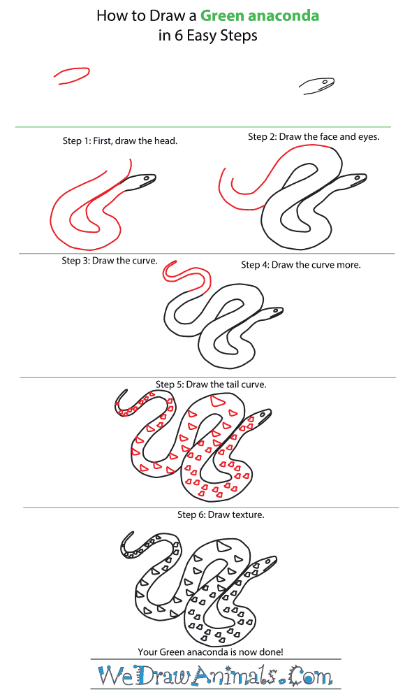 How to Draw a Green Anaconda - Step-By-Step Tutorial