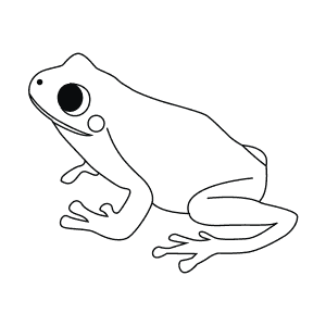 How To Draw a Green Tree Frog - Step-By-Step Tutorial