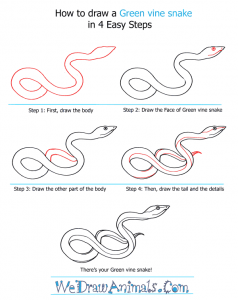 how to draw a python Images High Quality Grahic How to Draw a Green Vine Snake