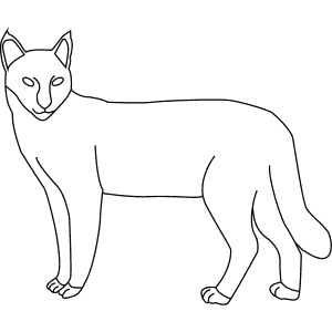 How To Draw a Jungle Cat - Step-By-Step Tutorial