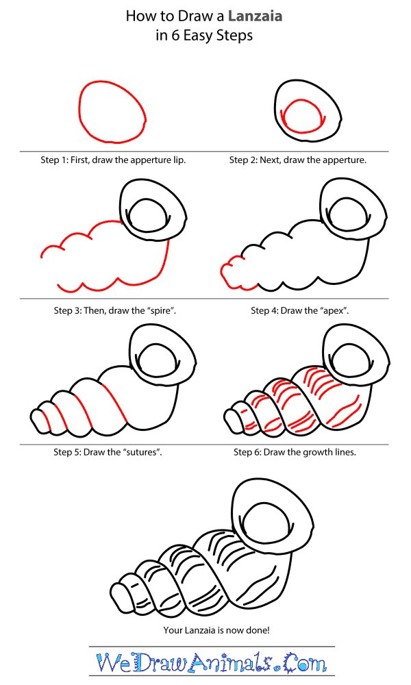 How to Draw a Lanzaia - Step-by-Step Tutorial