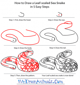 how to draw a python Images High Quality Grahic How to Draw a Leaf-Scaled Sea Snake