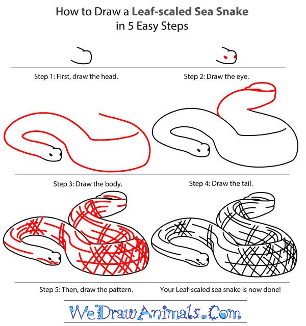 How to Draw a Leaf-Scaled Sea Snake - Step-by-Step Tutorial
