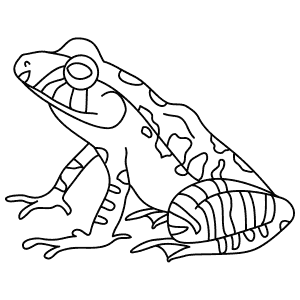 How To Draw a Leopard Robber Frog - Step-By-Step Tutorial