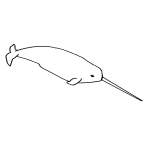 Featured image of post Narwhal Drawing Step By Step Learn to draw a cute narwhal