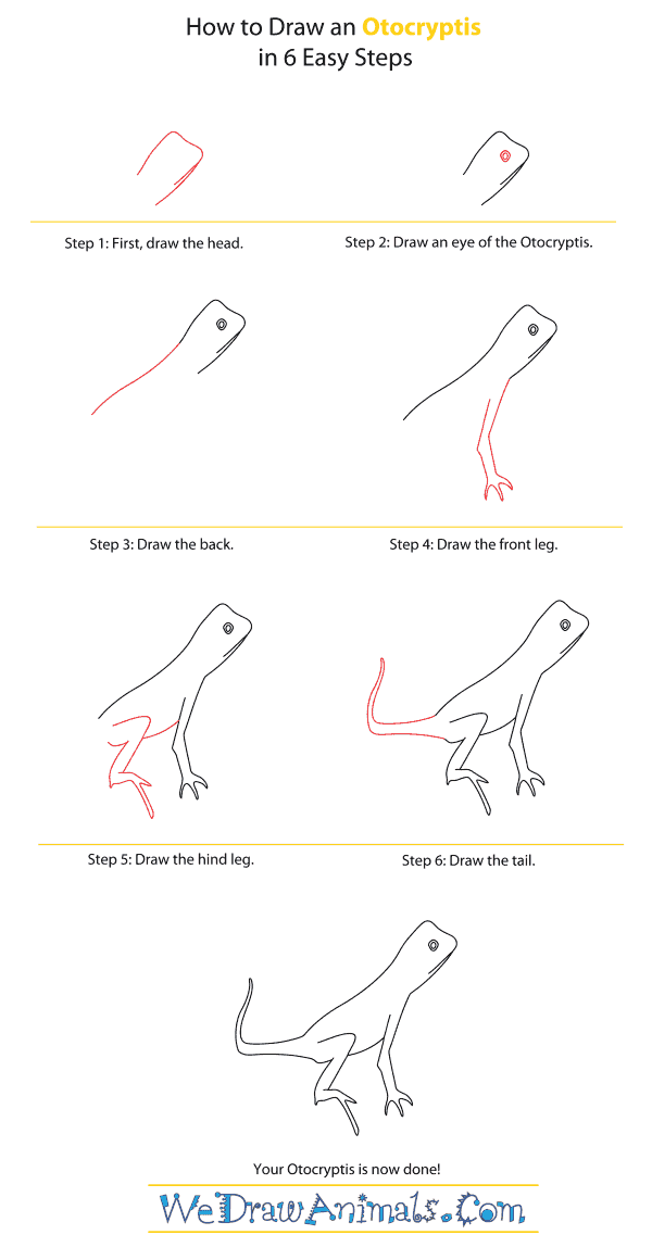 How to Draw an Otocryptis - Step-By-Step Tutorial