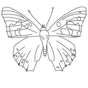 How To Draw a Painted Lady - Step-By-Step Tutorial