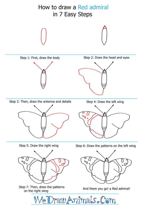 How to Draw a Red Admiral - Step-by-Step Tutorial