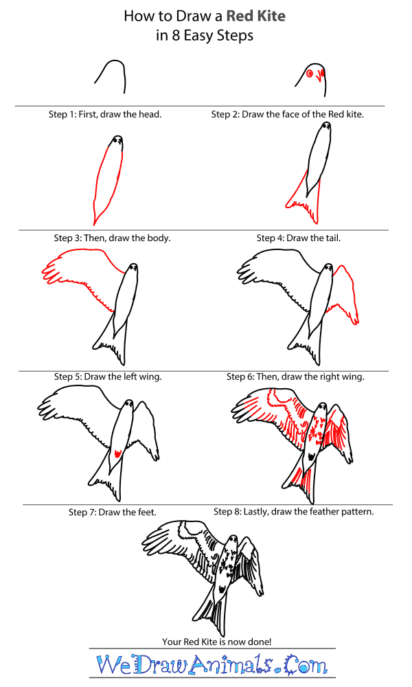How to Draw a Red Kite - Step-By-Step Tutorial
