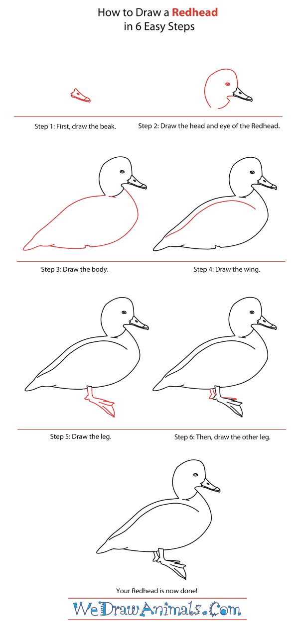 How to Draw a Redhead - Step-By-Step Tutorial