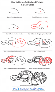 how to draw a python Images High Quality Grahic How to Draw a Reticulated Python