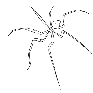 How To Draw a Sea-Spider - Step-By-Step Tutorial