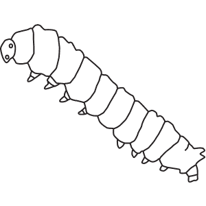 How To Draw a Silkworm - Step-By-Step Tutorial