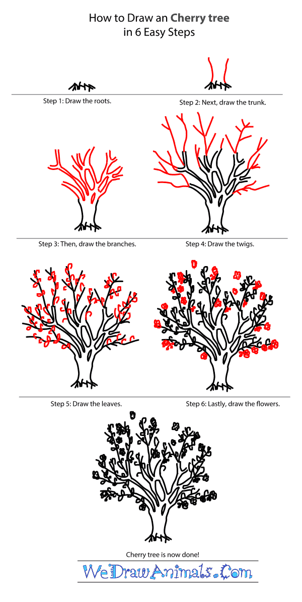 Cherry Blossom Tree Drawing  Cherry Blossom Tree Easy Drawing  Free  Transparent PNG Clipart Images Download