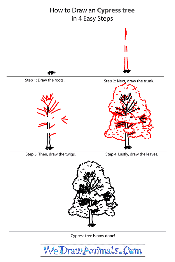 How to Draw a Cypress Tree - Step-by-Step Tutorial