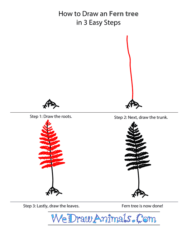 How to Draw a Fern Tree - Step-by-Step Tutorial