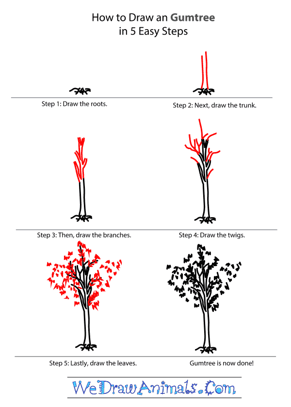 How to Draw a Gum Tree - Step-by-Step Tutorial