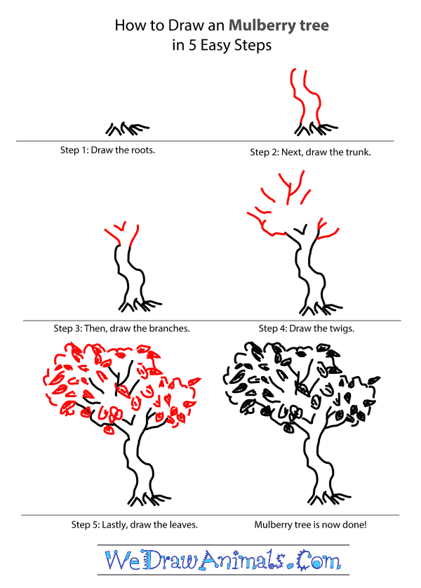 How to Draw a Mulberry Tree - Step-by-Step Tutorial