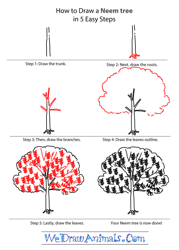 How to Draw a Neem Tree - Step-by-Step Tutorial