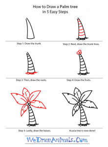 How to Draw a Palm Tree