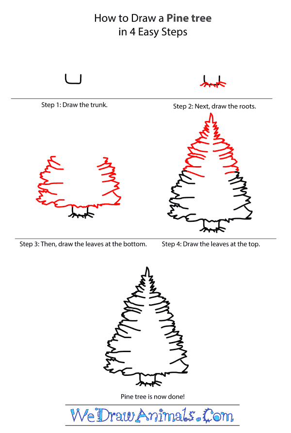How to Draw a Pine Tree - Step-by-Step Tutorial