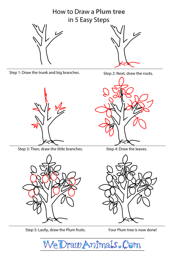 How to Draw a Plum Tree - Step-by-Step Tutorial