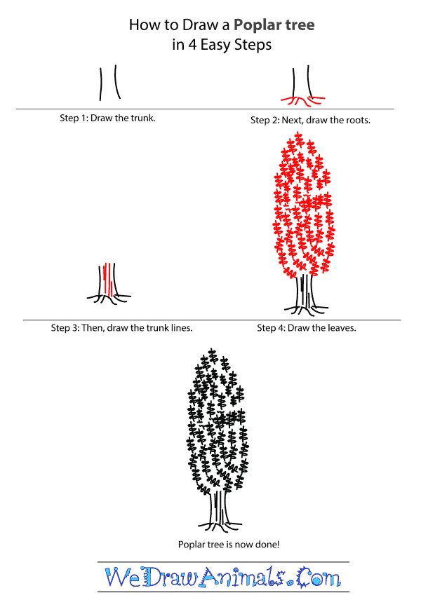 How to Draw a Poplar Tree - Step-by-Step Tutorial