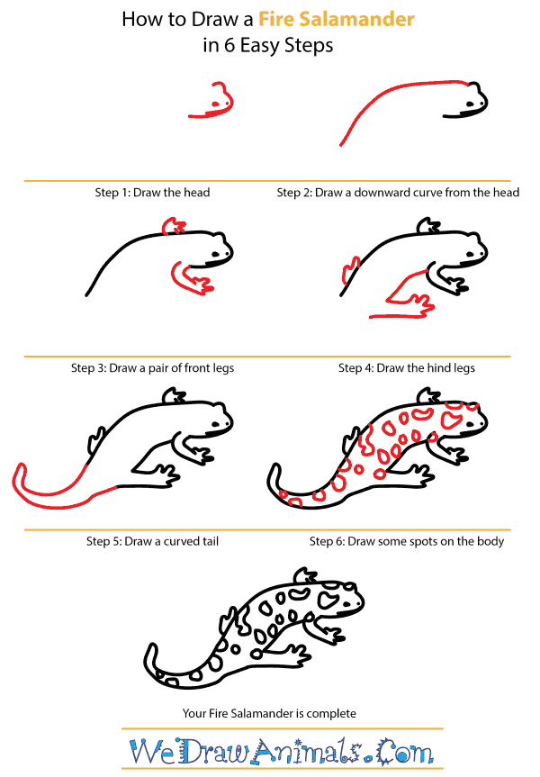 How to Draw a Fire Salamander - Step-by-Step Tutorial