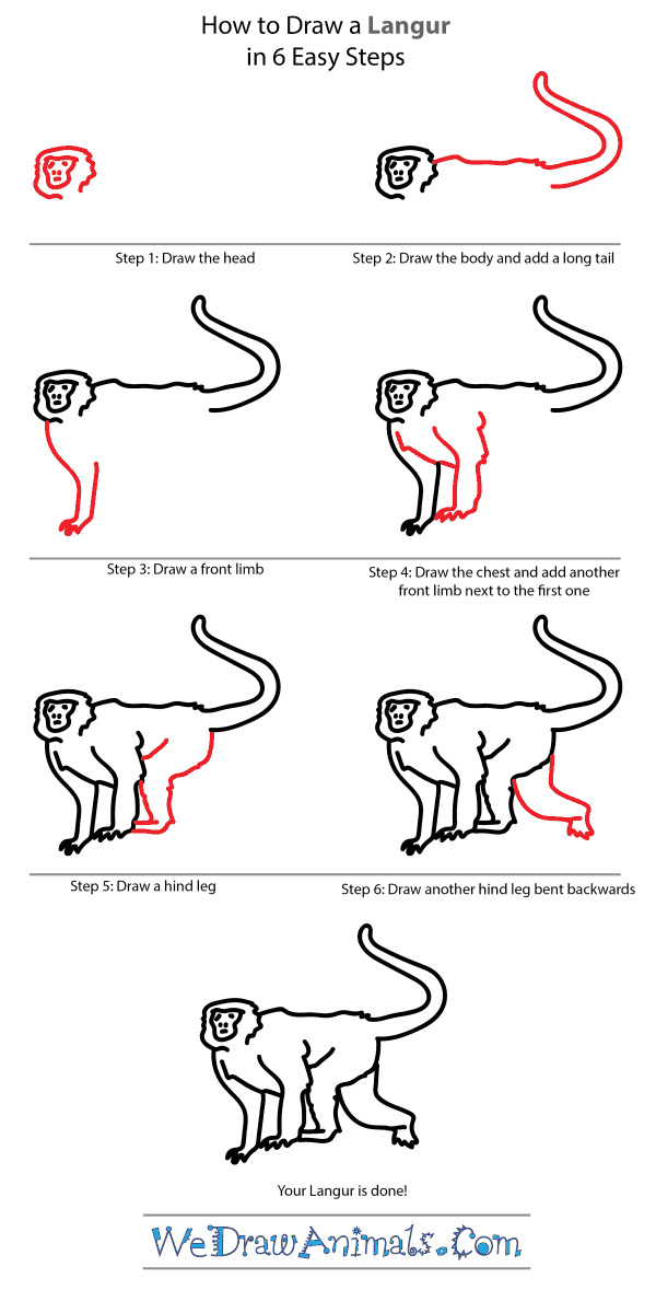 How to Draw a Langur - Step-by-Step Tutorial