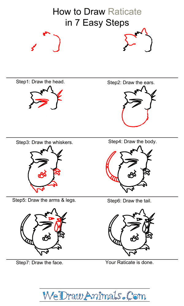 How to Draw Raticate - Step-by-Step Tutorial