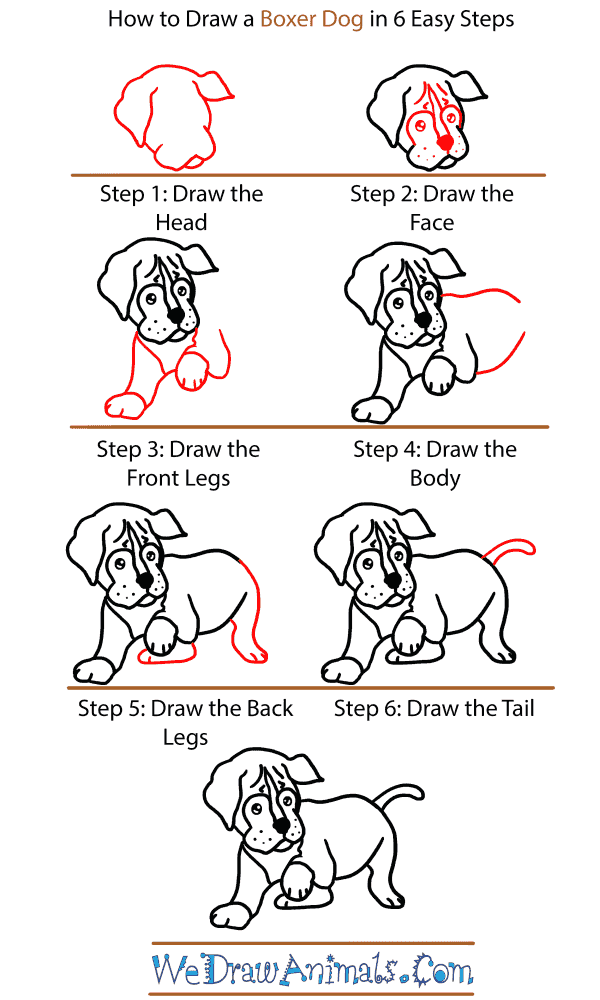 How to Draw a Baby Boxer Dog - Step-by-Step Tutorial