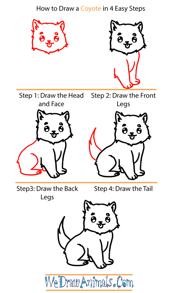 How to Draw a Baby Coyote