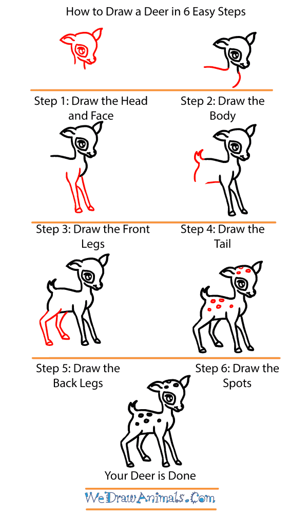 How to Draw a Baby Deer - Step-by-Step Tutorial