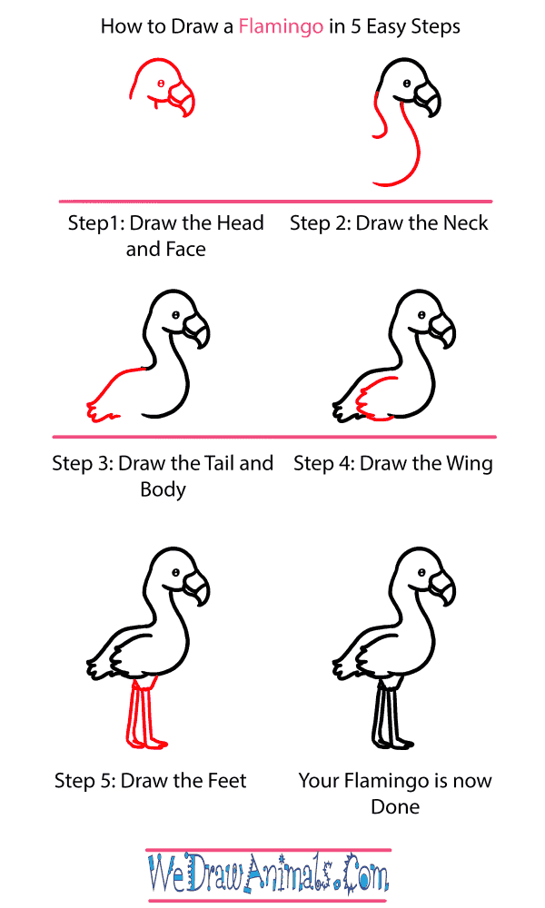How to Draw a Baby Flamingo - Step-by-Step Tutorial