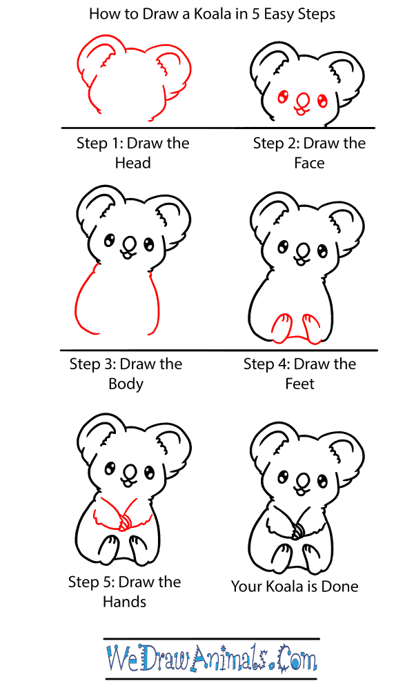 How To Draw A Baby Koala