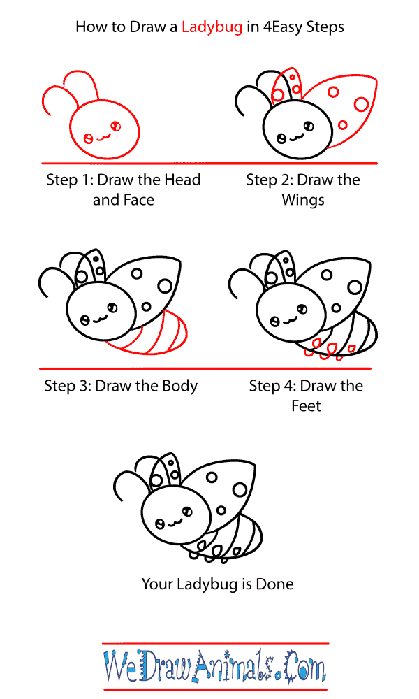 How to Draw a Baby Ladybug - Step-by-Step Tutorial